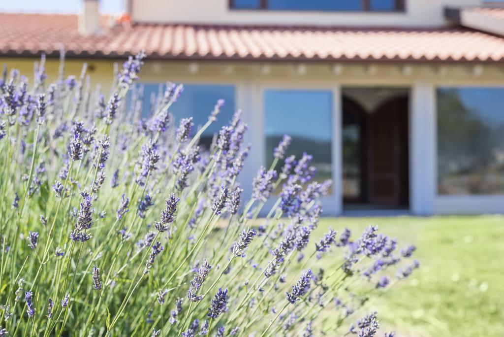 Agriturismo Terre Di Castiglione Кастильоне-делла-Пеская Экстерьер фото