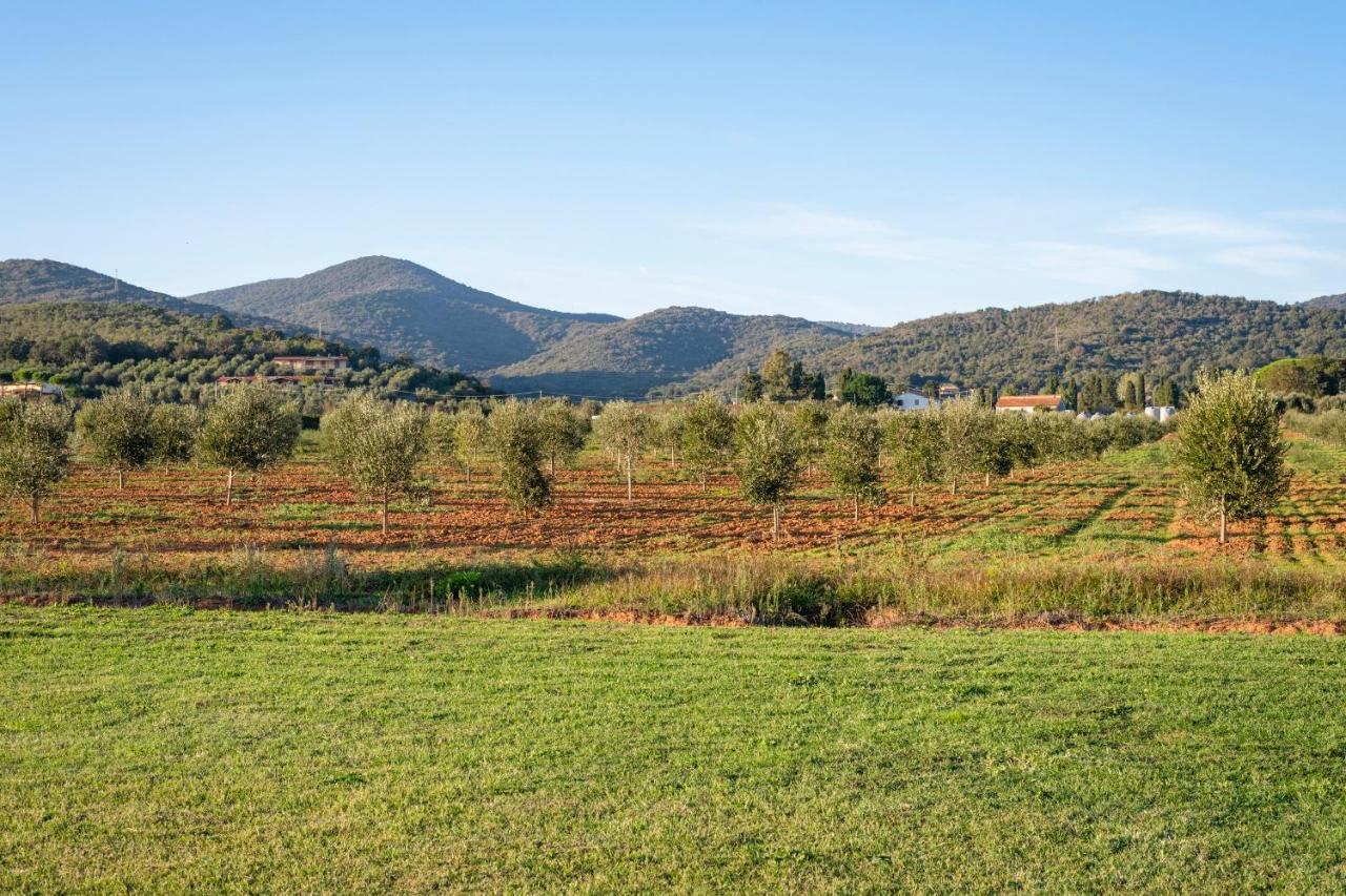 Agriturismo Terre Di Castiglione Кастильоне-делла-Пеская Экстерьер фото