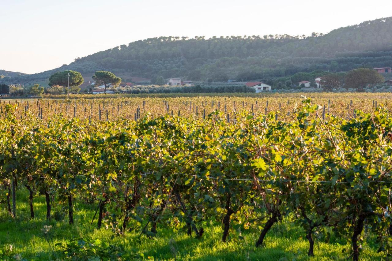 Agriturismo Terre Di Castiglione Кастильоне-делла-Пеская Экстерьер фото