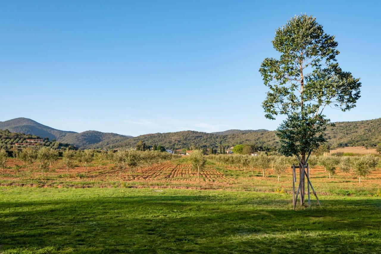 Agriturismo Terre Di Castiglione Кастильоне-делла-Пеская Экстерьер фото