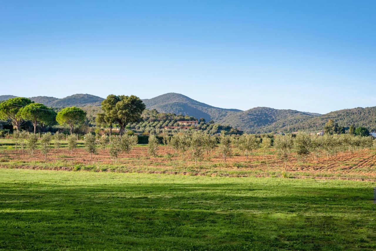 Agriturismo Terre Di Castiglione Кастильоне-делла-Пеская Экстерьер фото