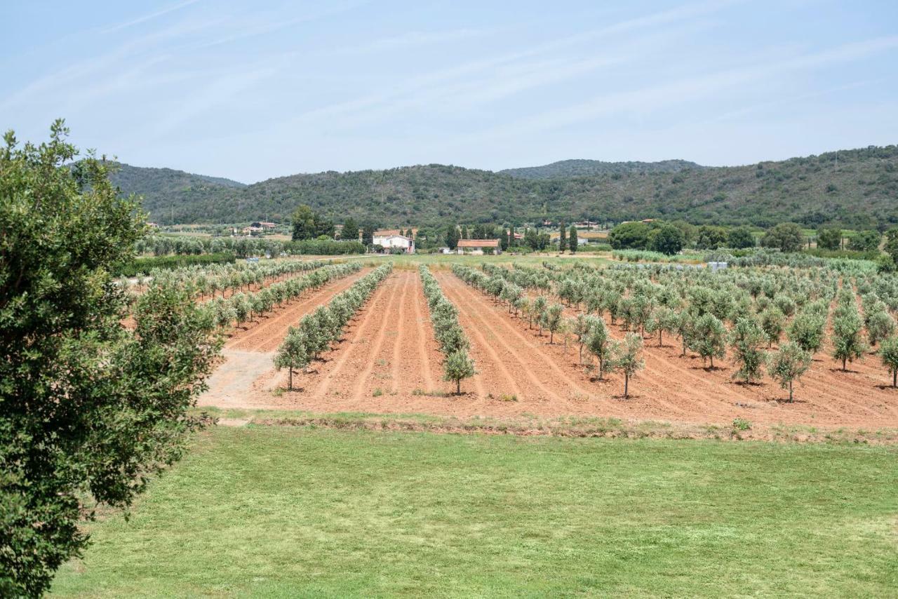 Agriturismo Terre Di Castiglione Кастильоне-делла-Пеская Экстерьер фото